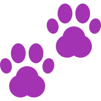 impressions-danimaux